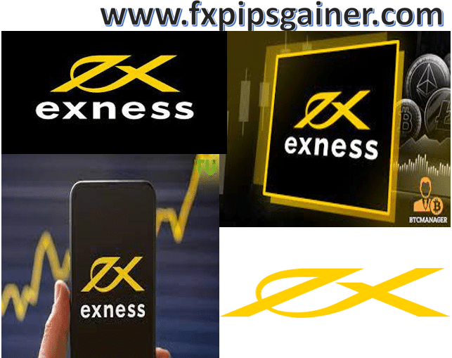 The Comprehensive Overview of Exness Services The Comprehensive Overview of Exness Services