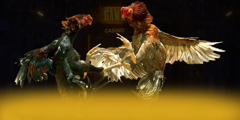 VWIN - Sảnh game đang làm mưa làm gió đang làm mưa làm gió trên thị trường – Khám phá thế giới giải trí tại VWIN VWIN - Sảnh game đang làm mưa làm gió đang làm mưa làm gió trên thị trường – Khám phá thế giới giải trí tại VWIN