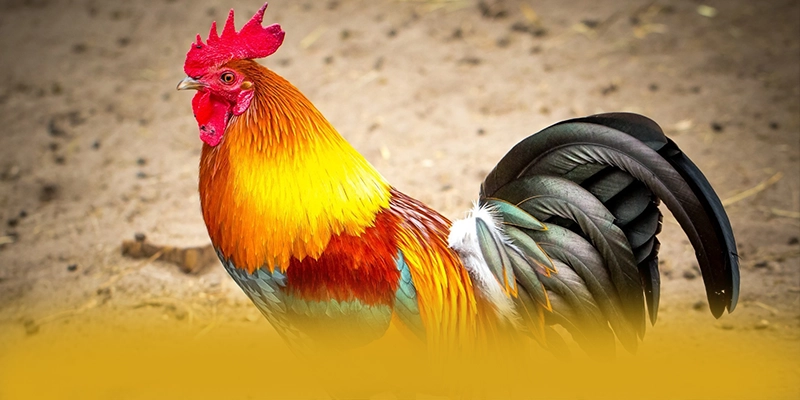 SUNWIN - Thương hiệu game trực tuyến mang đến trải nghiệm giải trí đỉnh cao được đánh giá cao – Khám phá kho trò chơi của SUNWIN SUNWIN - Thương hiệu game trực tuyến mang đến trải nghiệm giải trí đỉnh cao được đánh giá cao – Khám phá kho trò chơi của SUNWIN