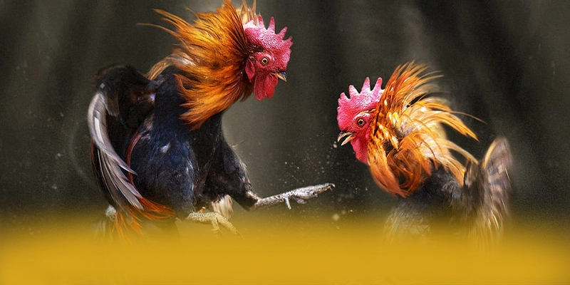 WIN79 - Cổng giải trí ưu đãi khủng 2025 – Cập nhật event và quà tặng tại WIN79