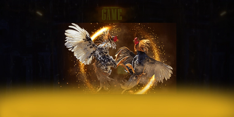 8XBET - Nhà cái cung cấp dịch vụ cá cược đa dạng 2025 8XBET - Nhà cái cung cấp dịch vụ cá cược đa dạng 2025