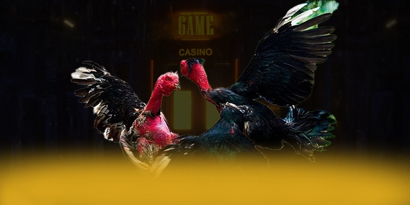 ZBET - Đánh giá cuối cùng — Nền tảng cá cược uy tín dành cho mọi người chơi