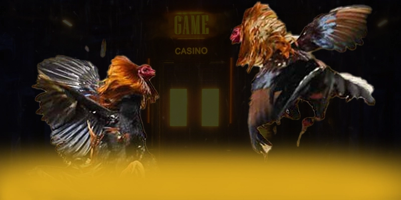 F8BET - Nền tảng có tỷ lệ kèo cạnh tranh nhất