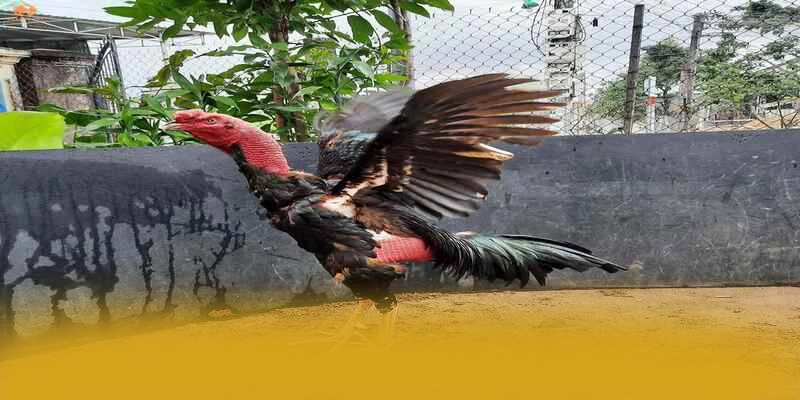 SV88 - Đánh giá cuối cùng — Nhà cái đáng tin cậy dành cho mọi người chơi SV88 - Đánh giá cuối cùng — Nhà cái đáng tin cậy dành cho mọi người chơi